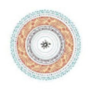 Meet your Posher, Ally